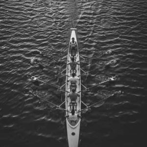 Management essentials