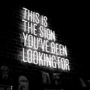 Meaning purpose and contribution