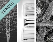 Management Effectiveness